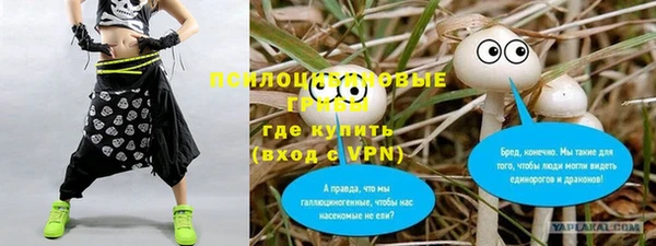 МДПВ Михайловск